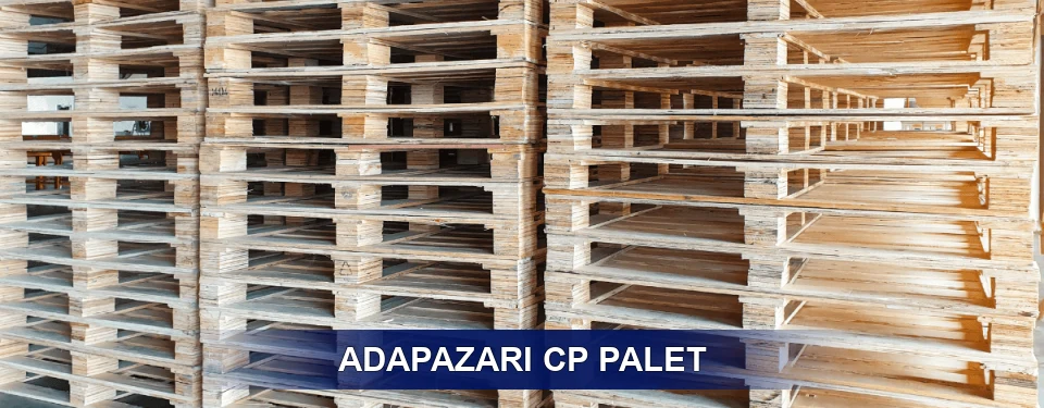 Adapazarı Standart Tipler