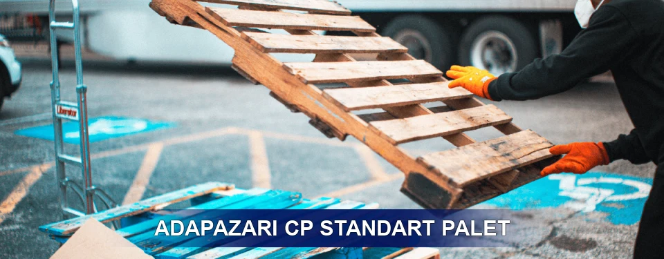 Adapazarı Fiyatlandırma