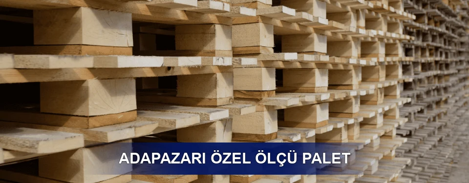 Adapazarı Yük Kapasitesi